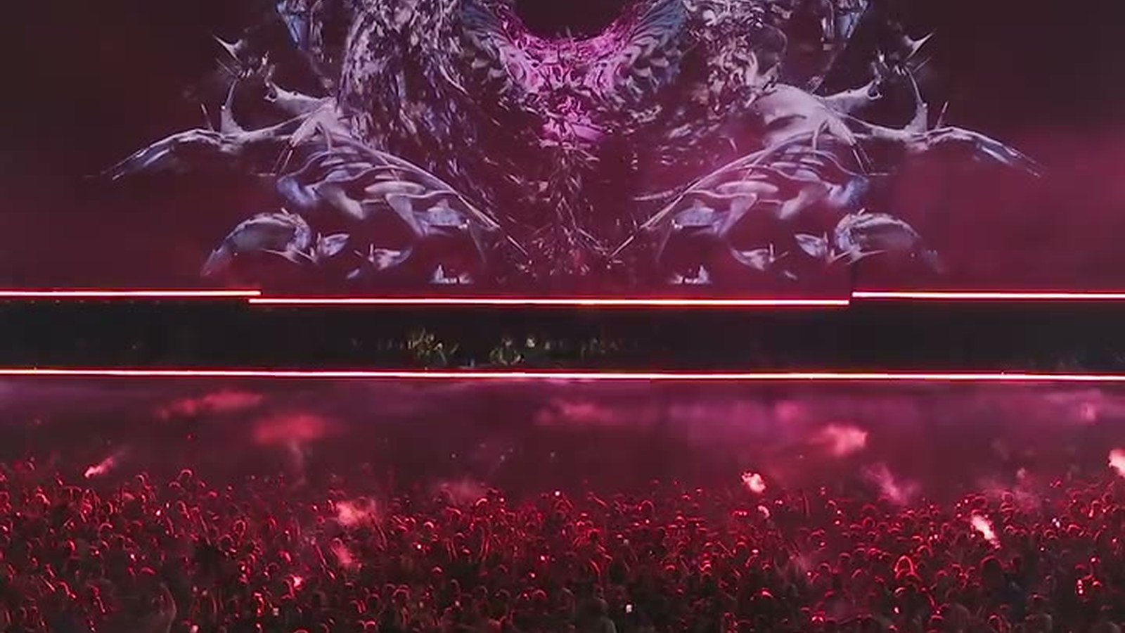 Afterlife 2024 photo 2
