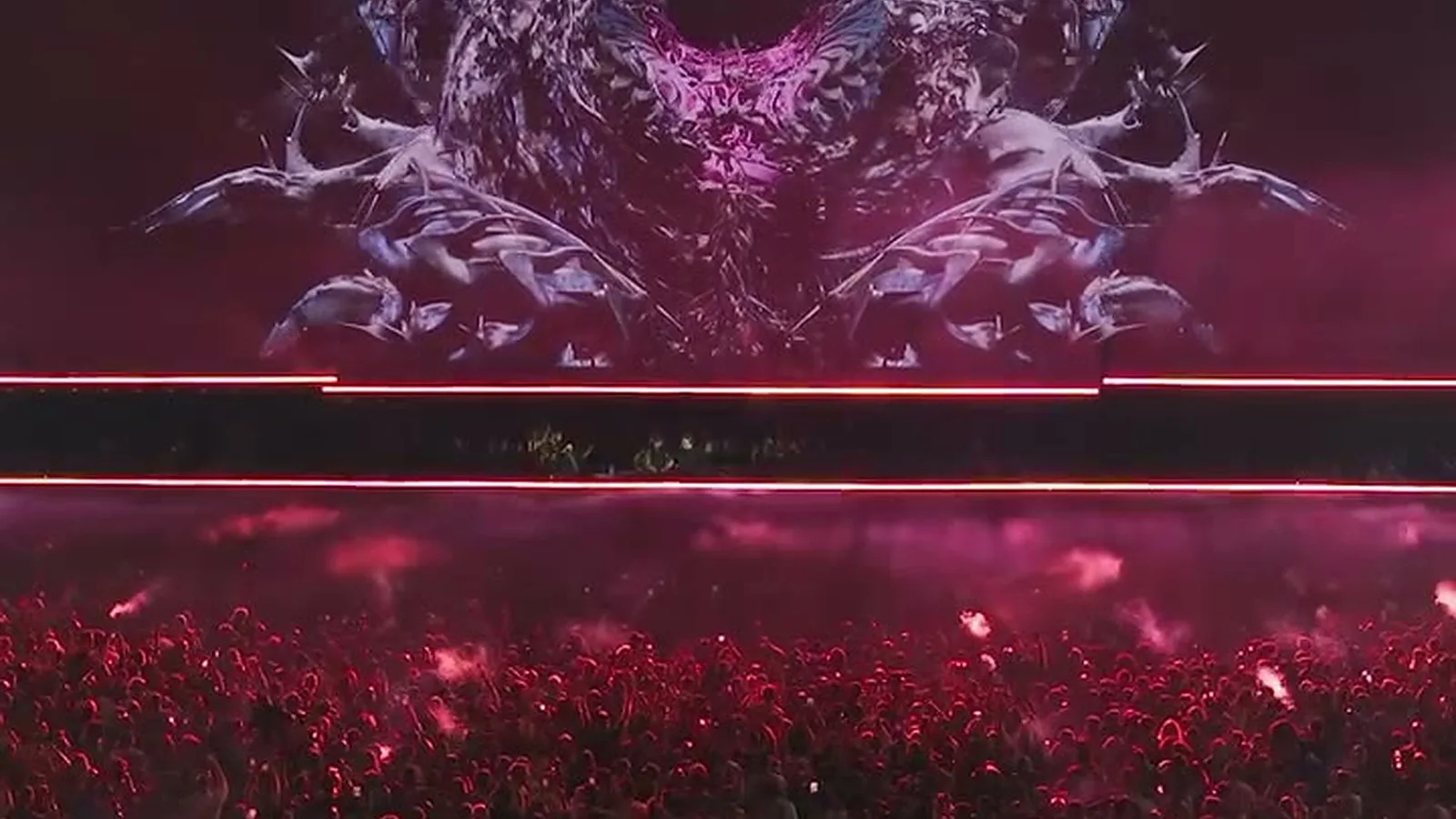 Afterlife 2024 photo 2