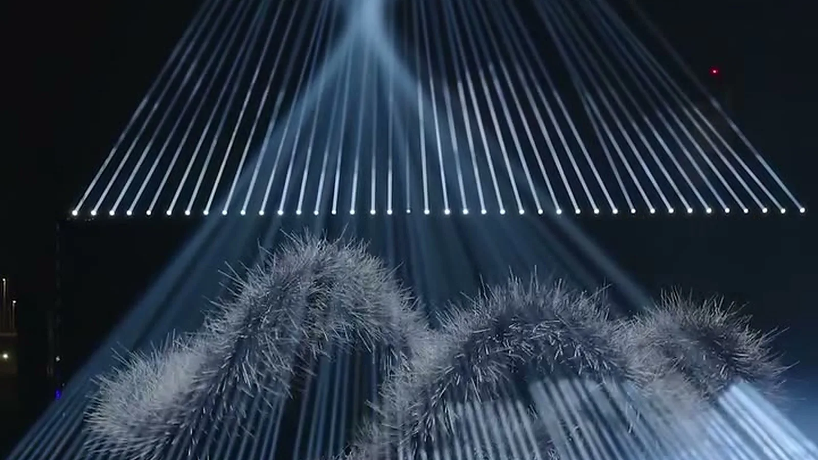 Afterlife 2024 photo 3