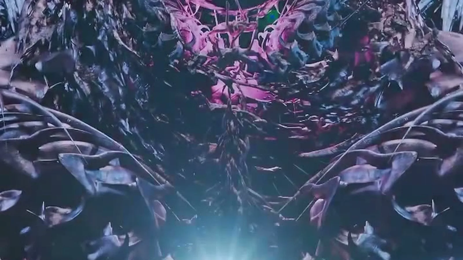 Afterlife 2024 photo 9